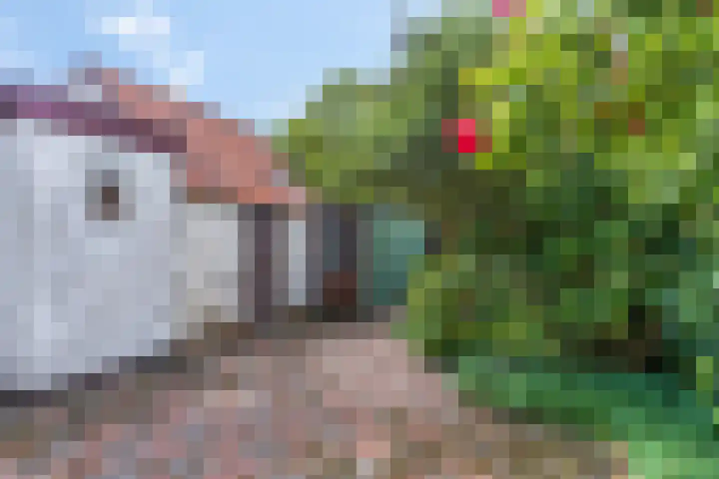 Heuvelsepad 50 Ede thumbnail 24