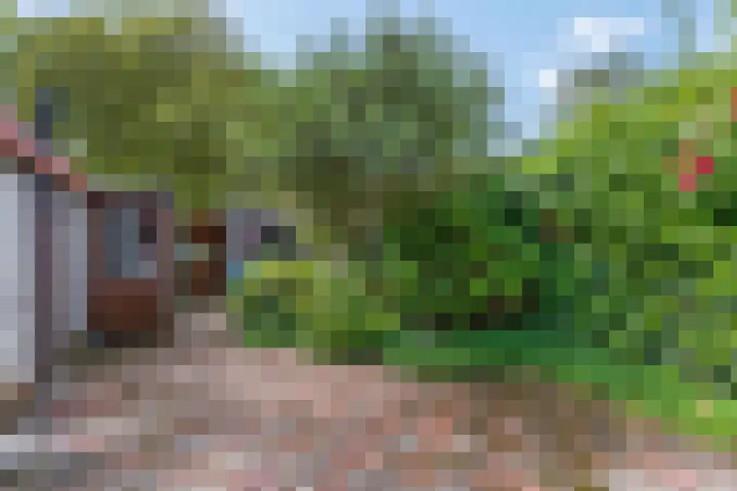 Heuvelsepad 50 Ede thumbnail 27