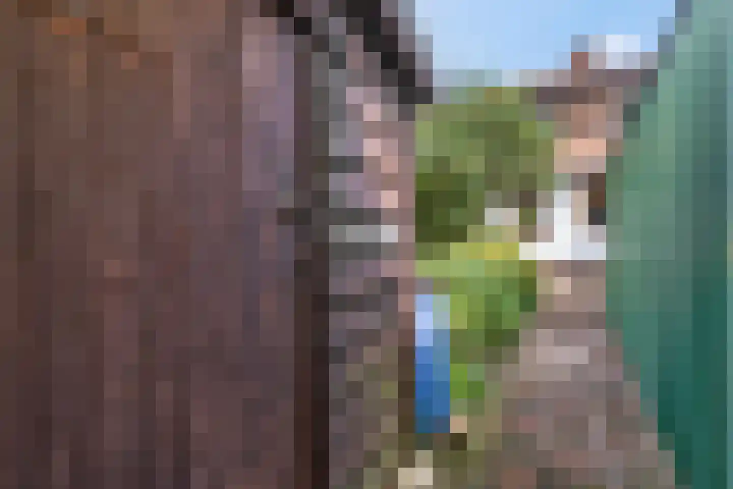 Heuvelsepad 50 Ede thumbnail 28