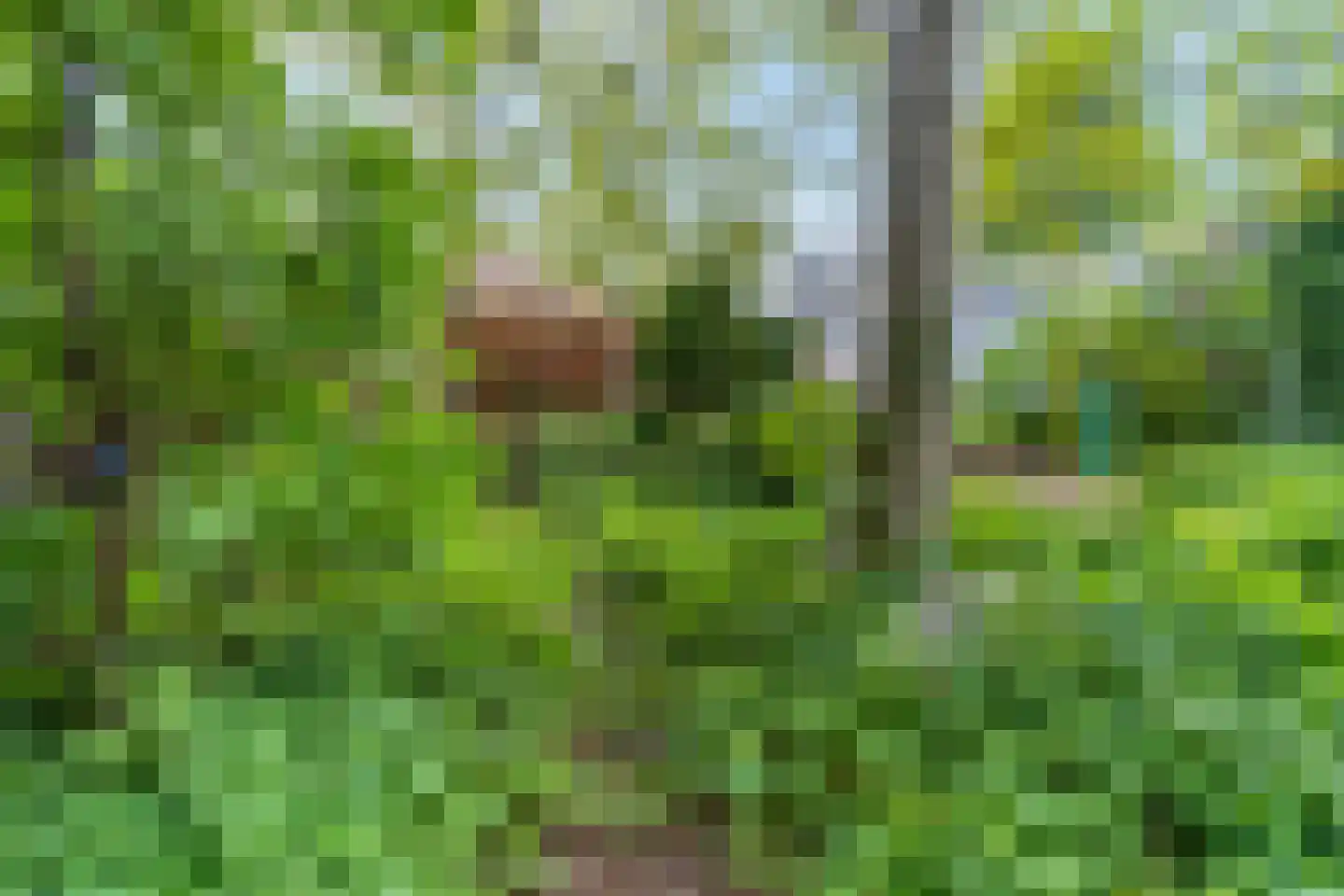 Heuvelsepad 50 Ede thumbnail 29