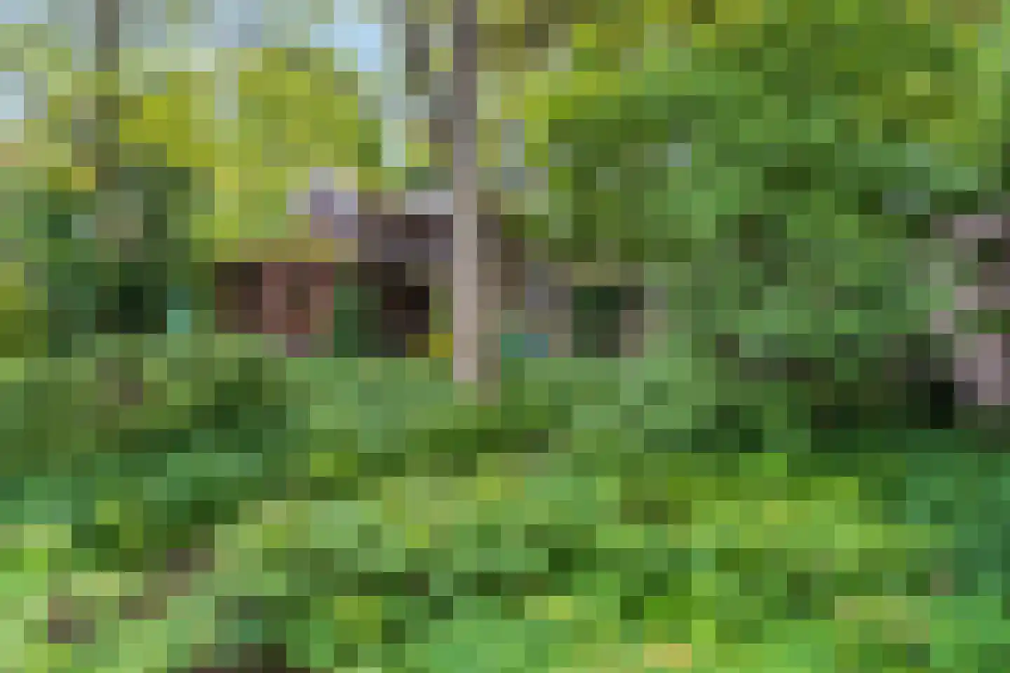 Heuvelsepad 50 Ede thumbnail 30