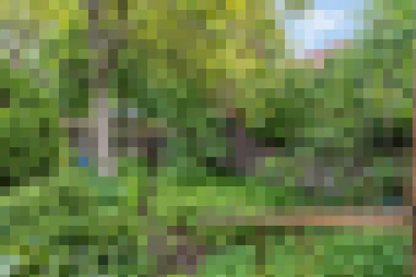 Heuvelsepad 50 Ede thumbnail 31