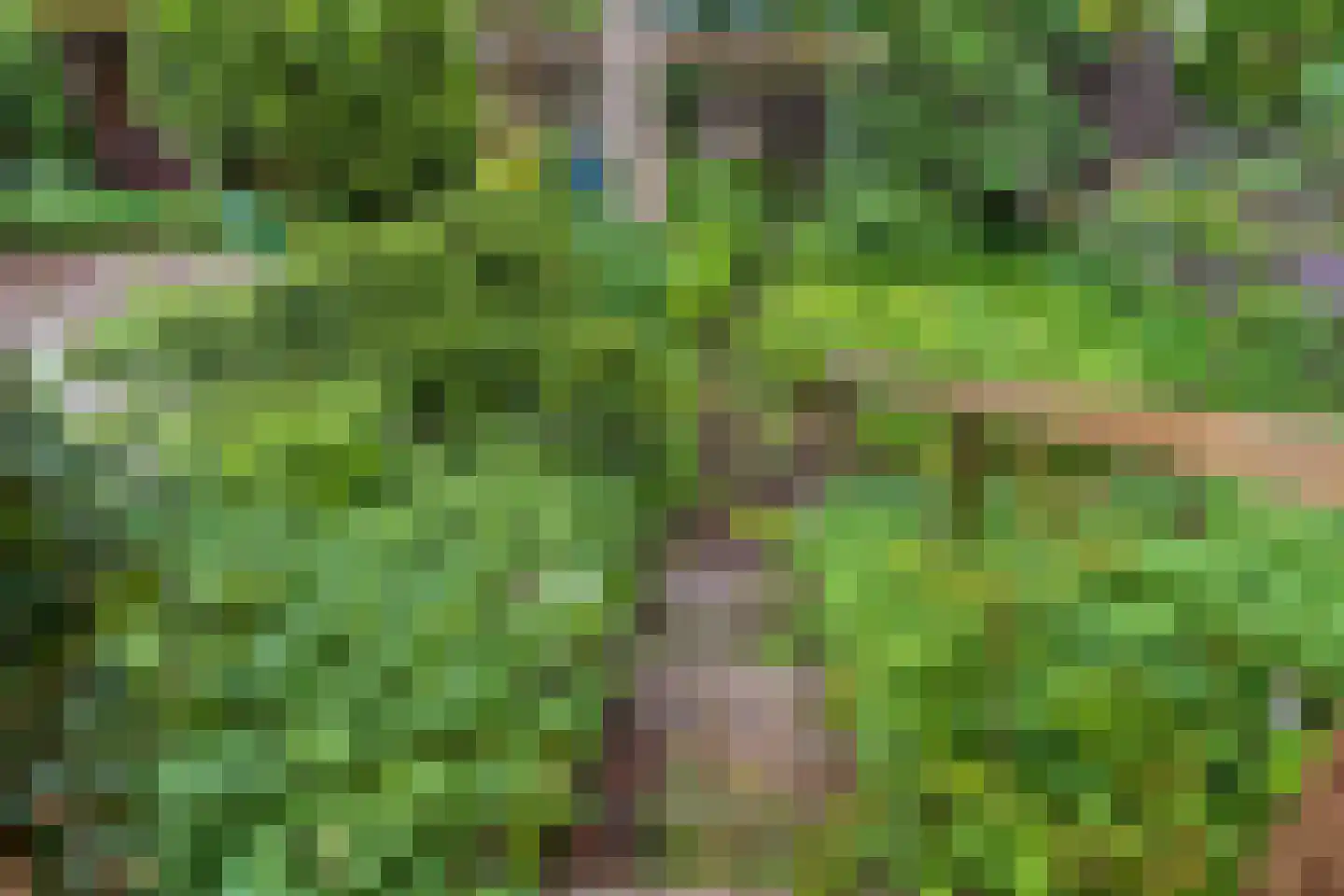 Heuvelsepad 50 Ede thumbnail 32