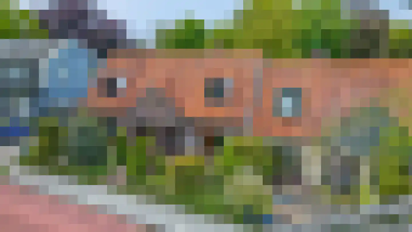 Heuvelsepad 50 Ede thumbnail 38
