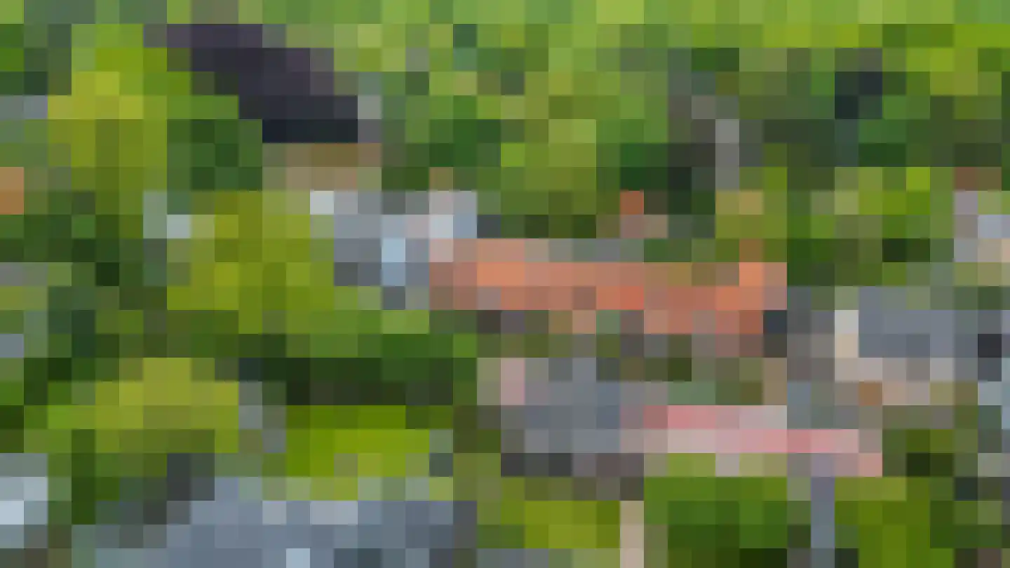 Heuvelsepad 50 Ede thumbnail 42
