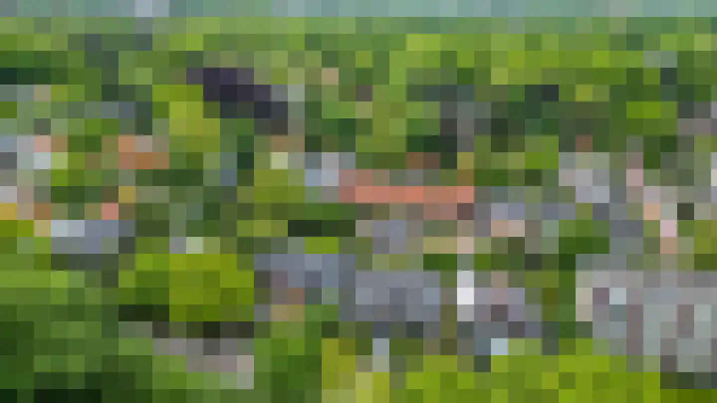 Heuvelsepad 50 Ede thumbnail 43