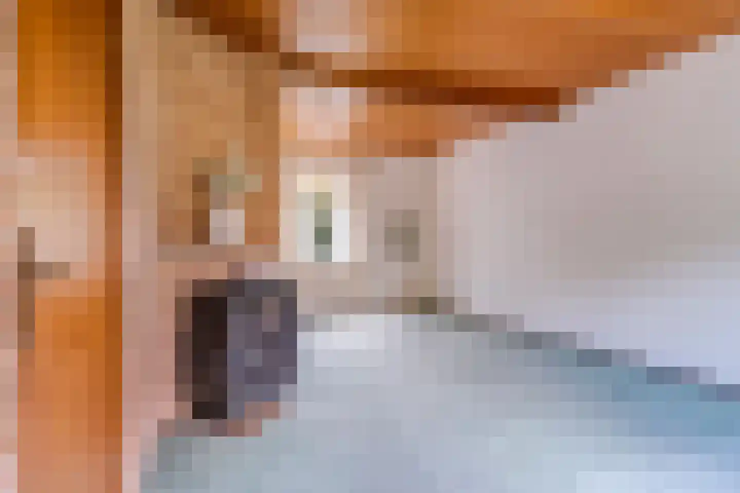 Heuvelsepad 50 Ede thumbnail 6