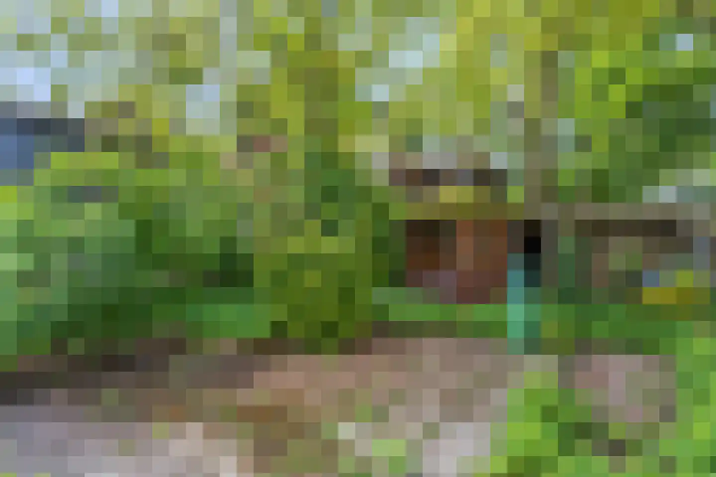 Heuvelsepad 52 Ede thumbnail 33