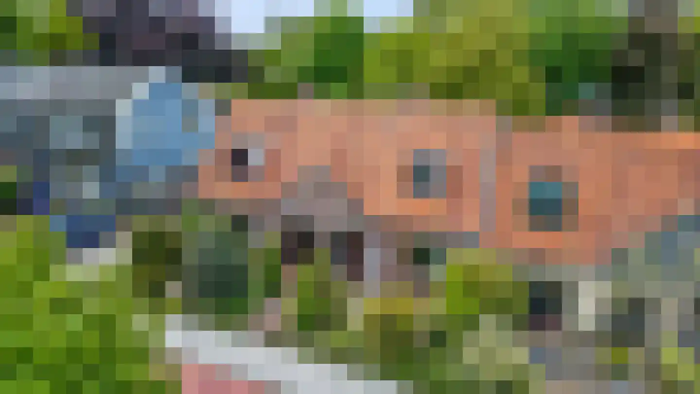 Heuvelsepad 52 Ede thumbnail 47