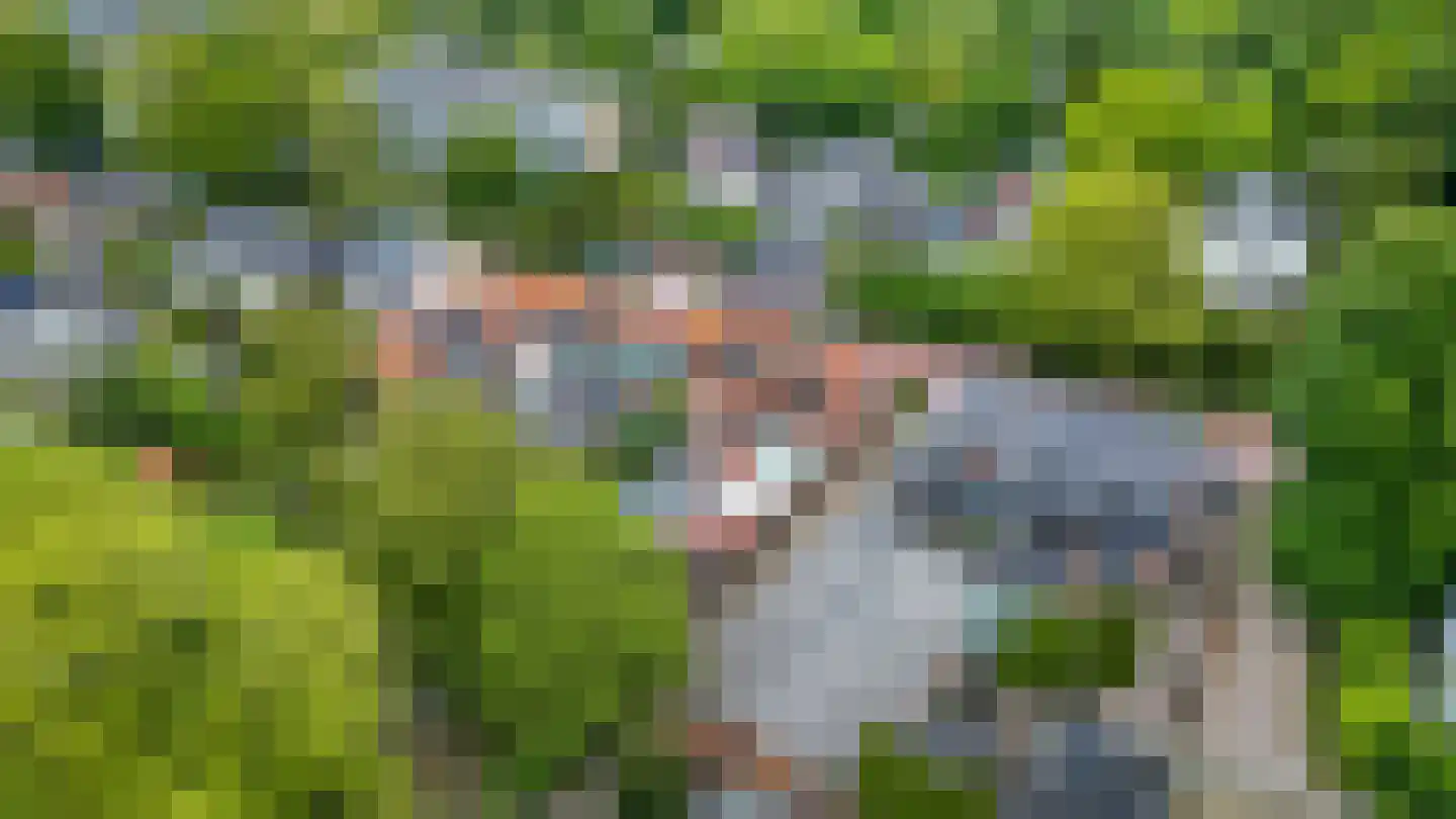 Heuvelsepad 52 Ede thumbnail 49