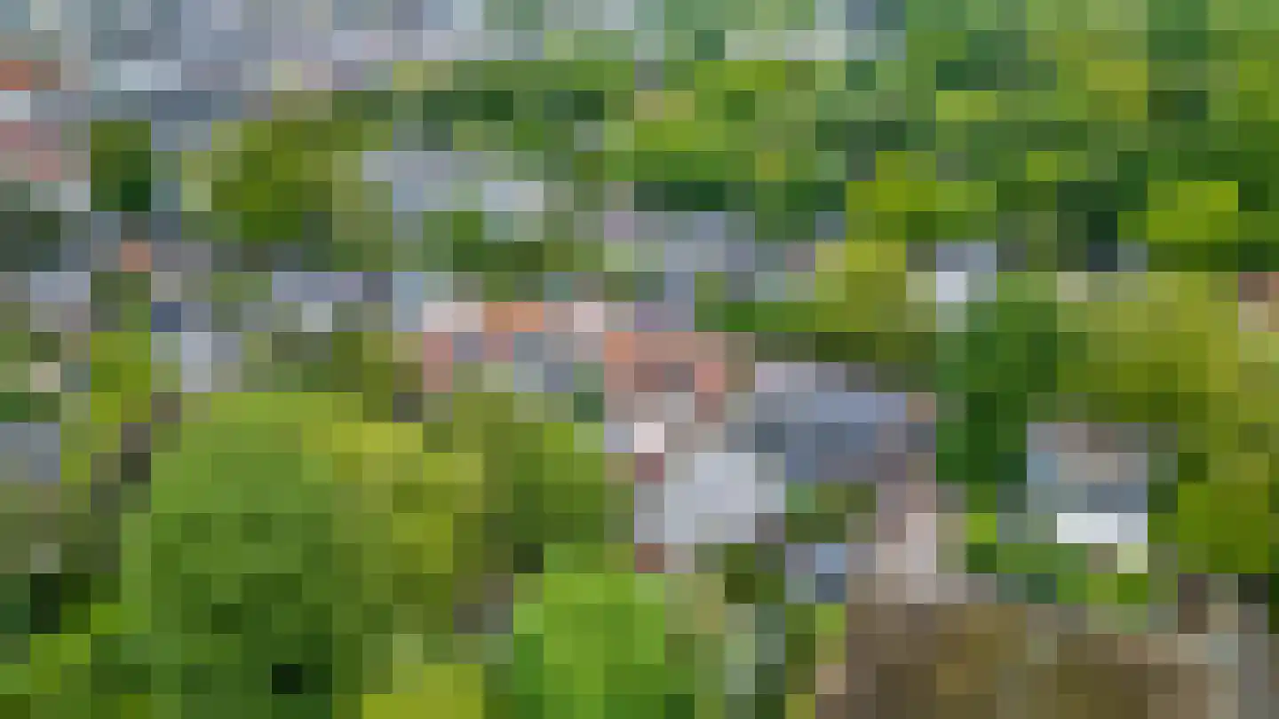 Heuvelsepad 52 Ede thumbnail 50