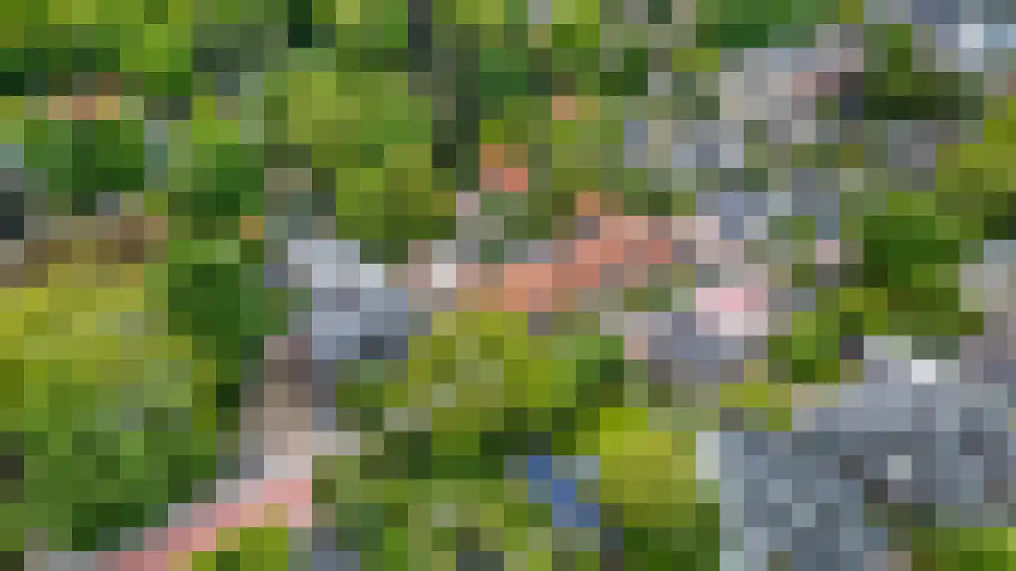 Heuvelsepad 52 Ede thumbnail 51