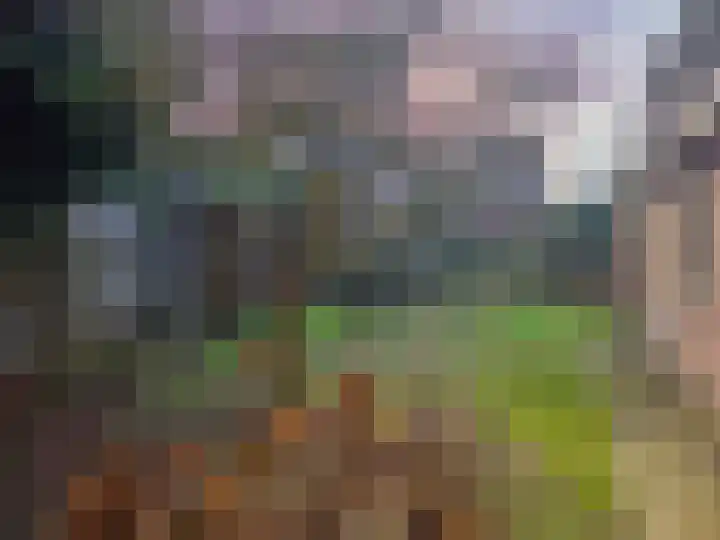 Heuvelsepad 8 Ede thumbnail 38