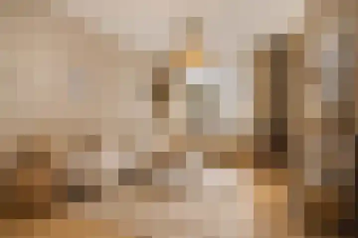 Heuvelsepad 8 Ede thumbnail 4