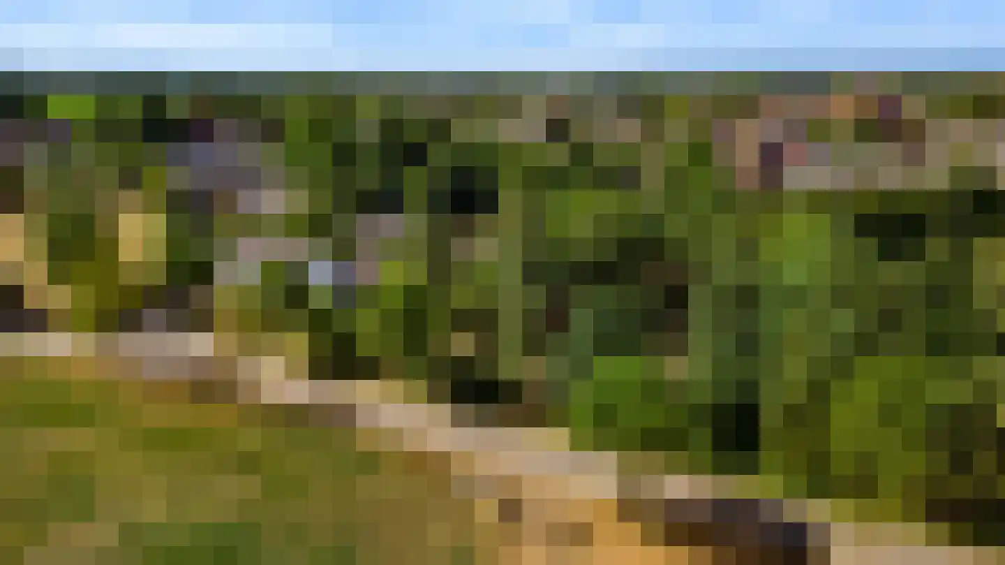 Heuvelsestraat 5 Kronenberg thumbnail 11