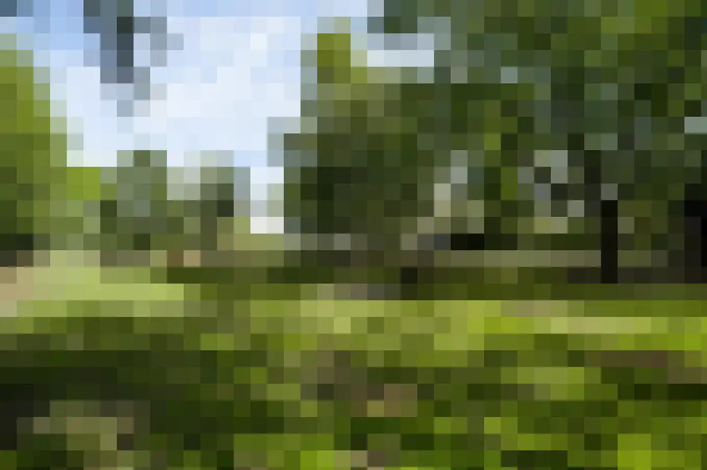 Heuvelsestraat 5 Kronenberg thumbnail 110