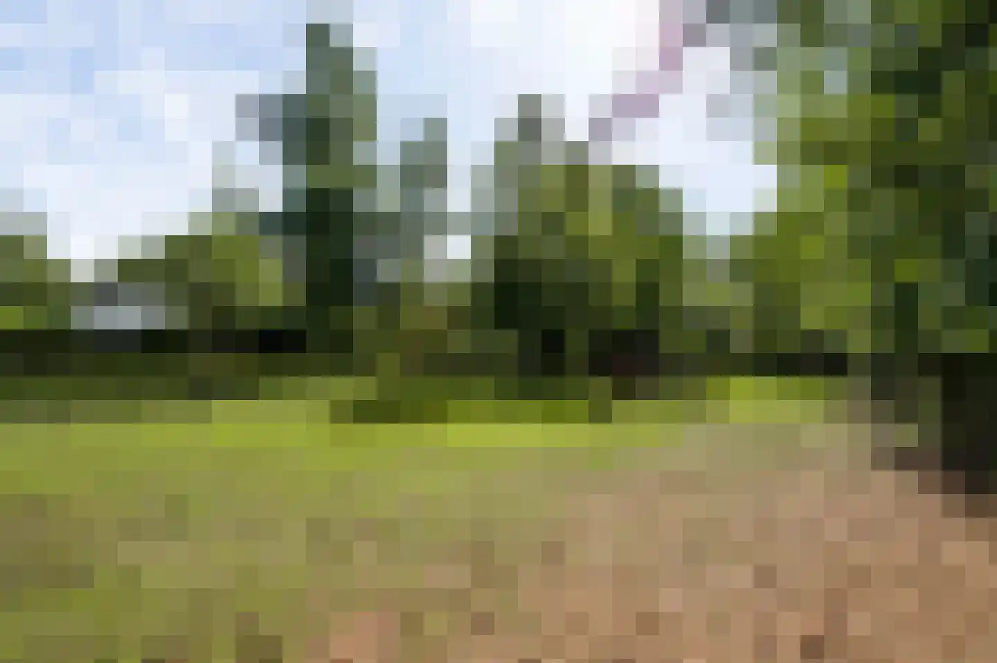 Heuvelsestraat 5 Kronenberg thumbnail 111