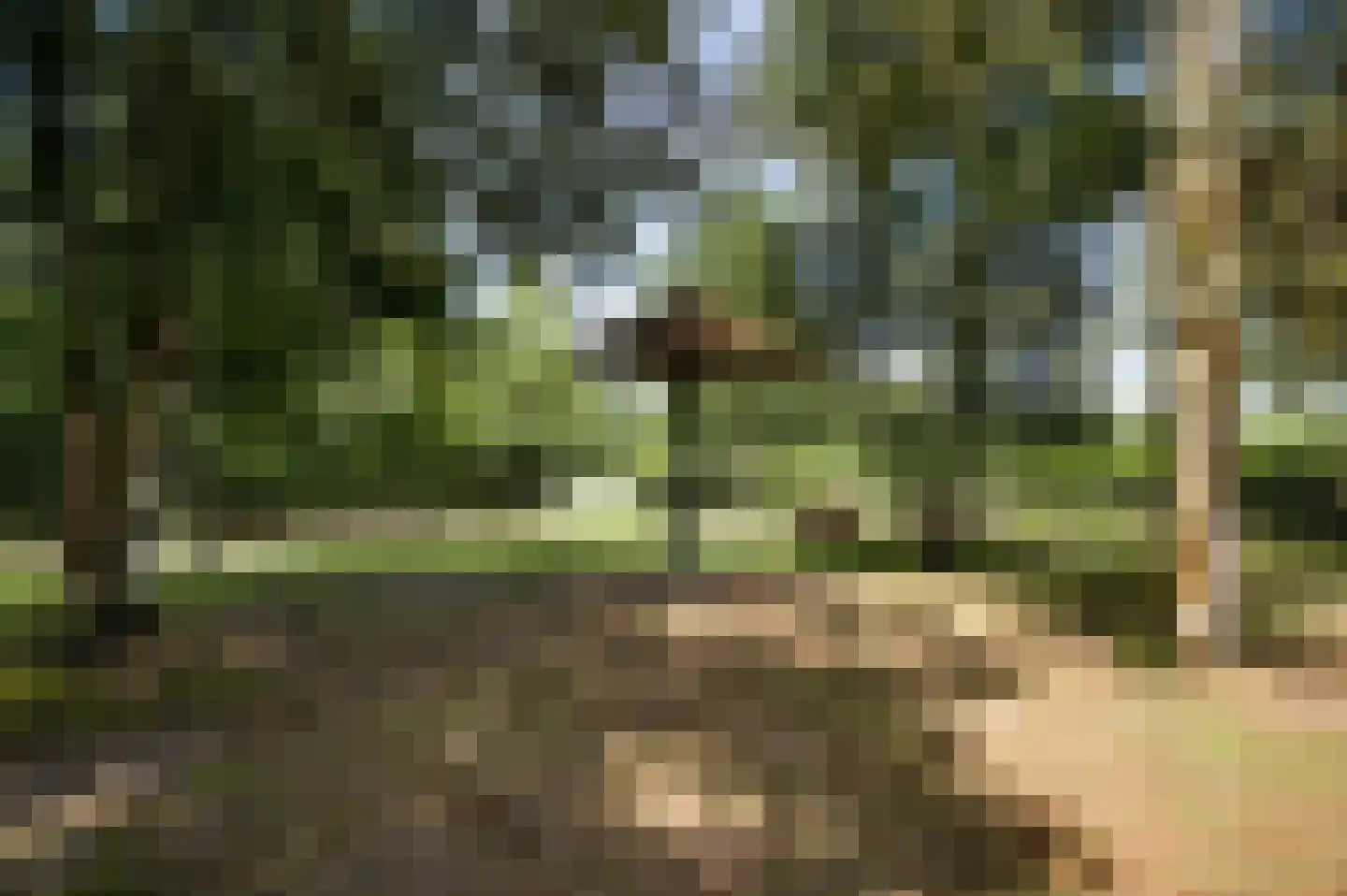 Heuvelsestraat 5 Kronenberg thumbnail 113