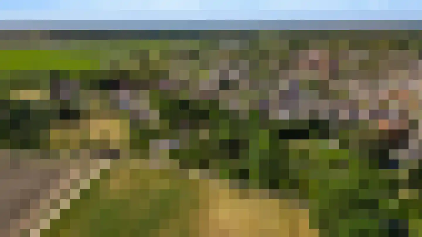 Heuvelsestraat 5 Kronenberg thumbnail 16