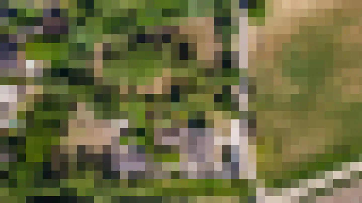 Heuvelsestraat 5 Kronenberg thumbnail 20