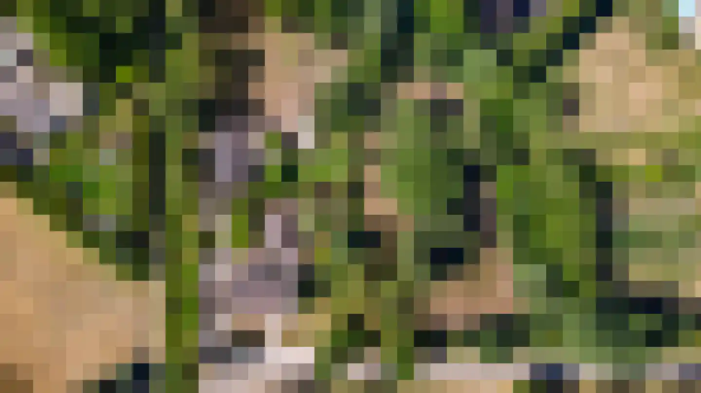 Heuvelsestraat 5 Kronenberg thumbnail 21
