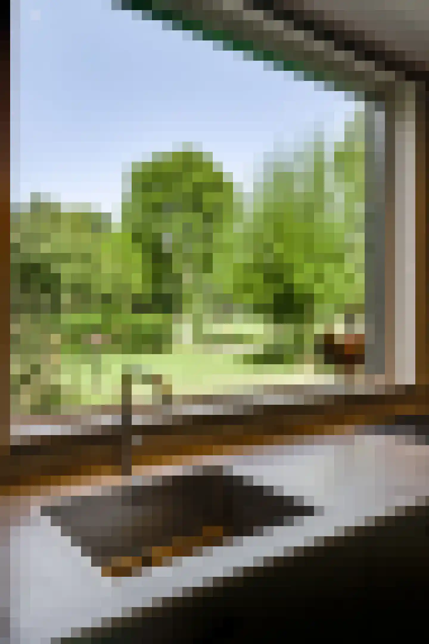 Heuvelsestraat 5 Kronenberg thumbnail 48