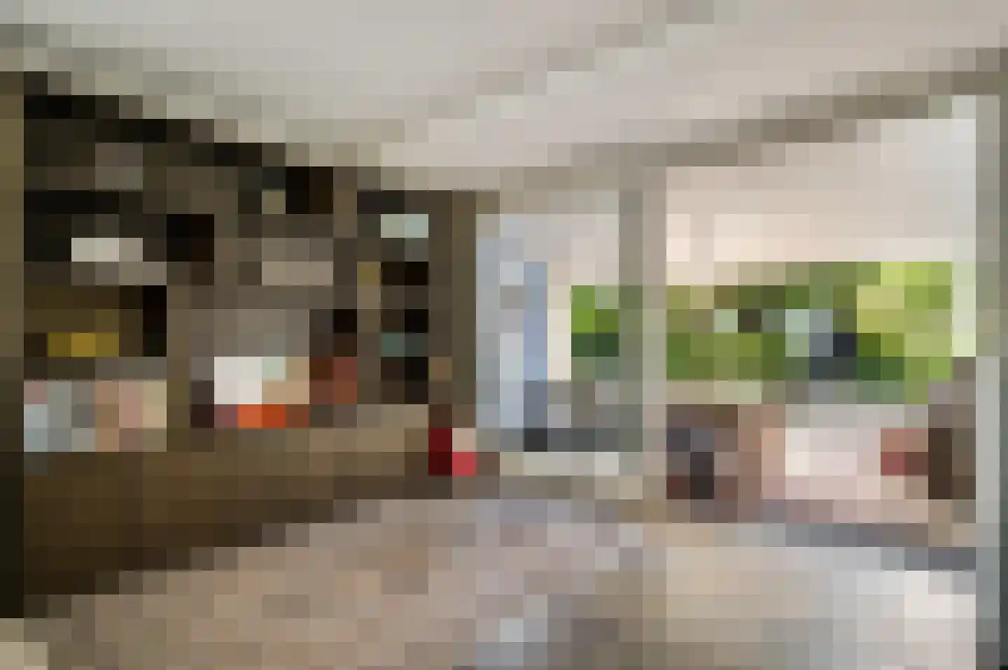 Heuvelsestraat 5 Kronenberg thumbnail 56