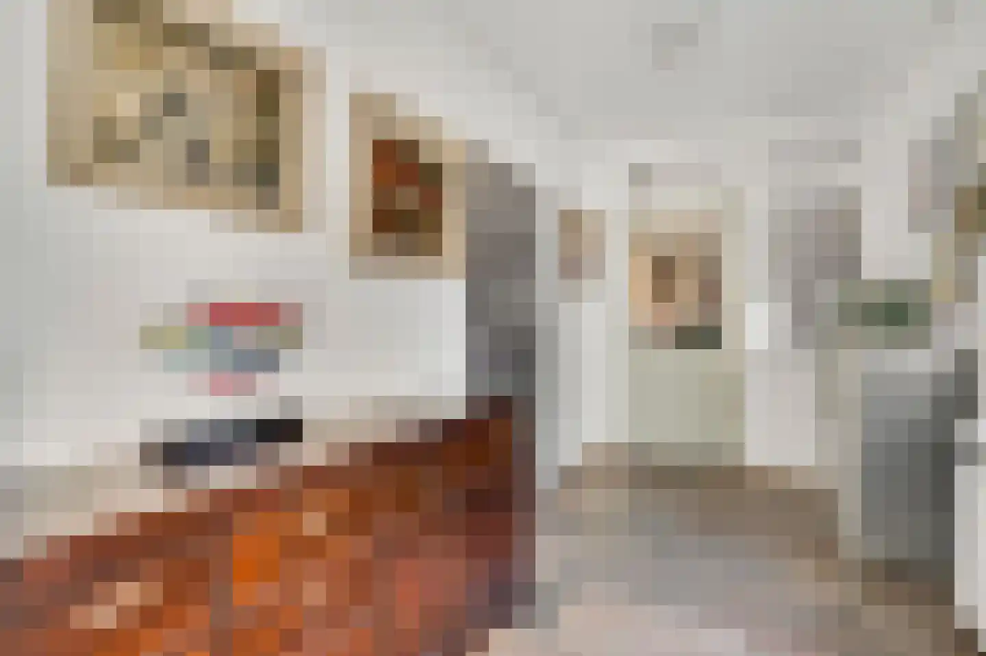 Heuvelsestraat 5 Kronenberg thumbnail 58