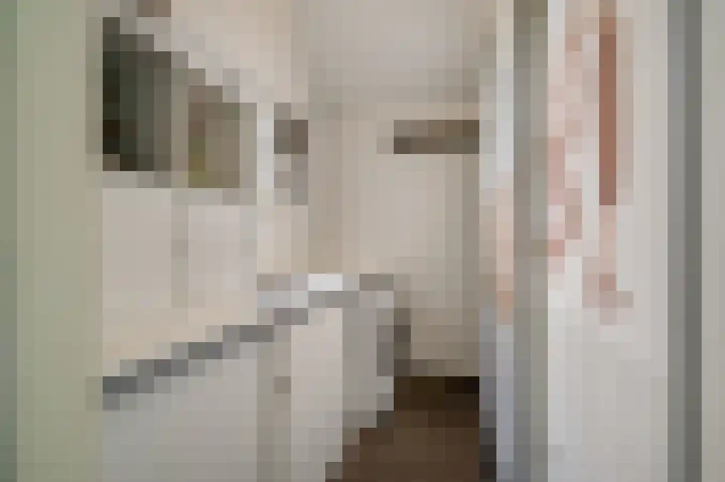 Heuvelsestraat 5 Kronenberg thumbnail 59