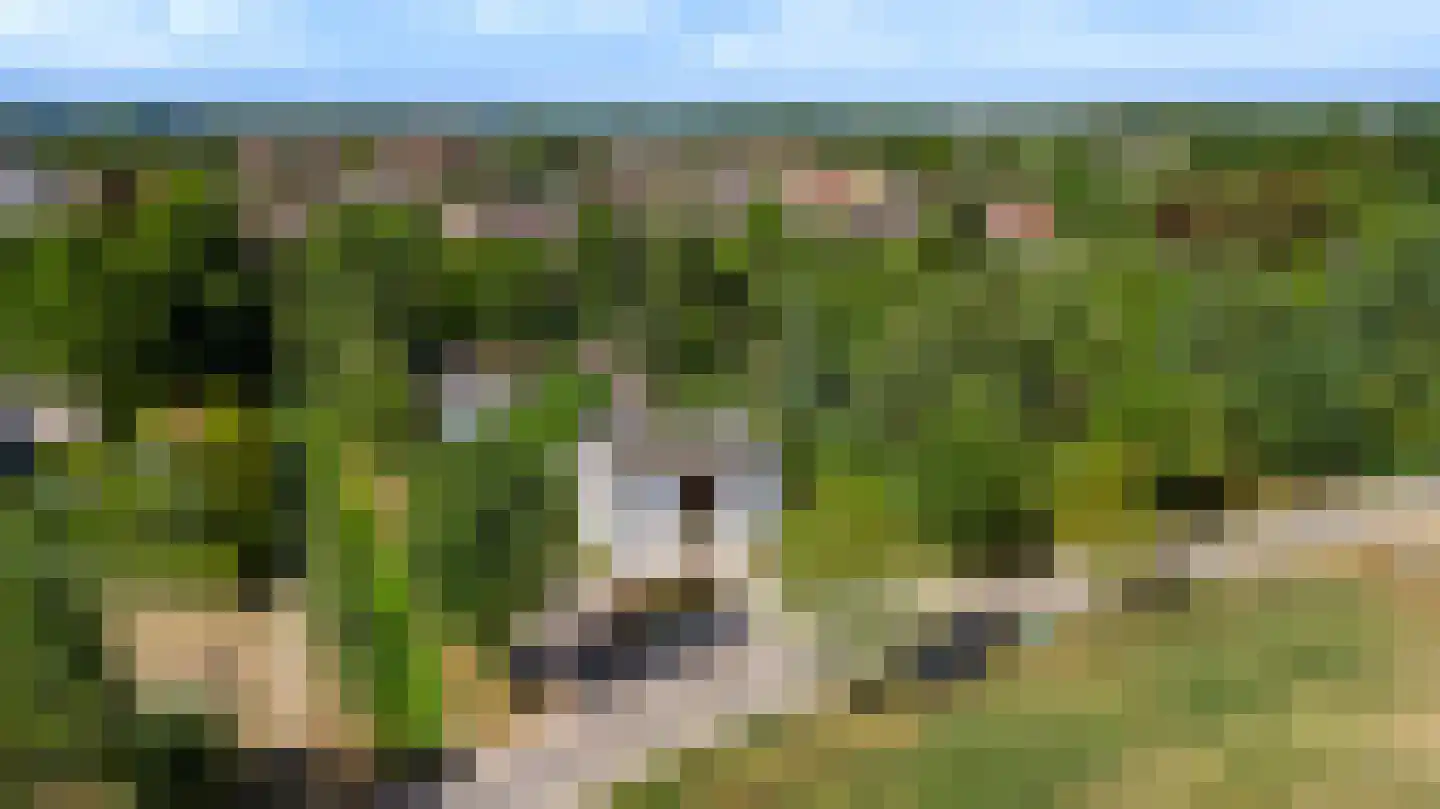 Heuvelsestraat 5 Kronenberg thumbnail 6