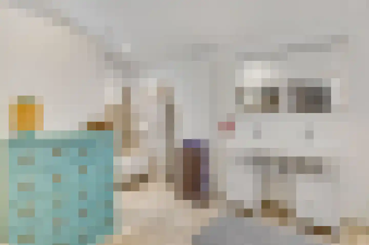 Heuvelsestraat 5 Kronenberg thumbnail 65