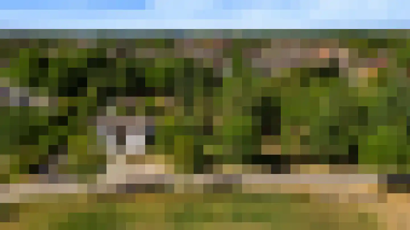 Heuvelsestraat 5 Kronenberg thumbnail 7