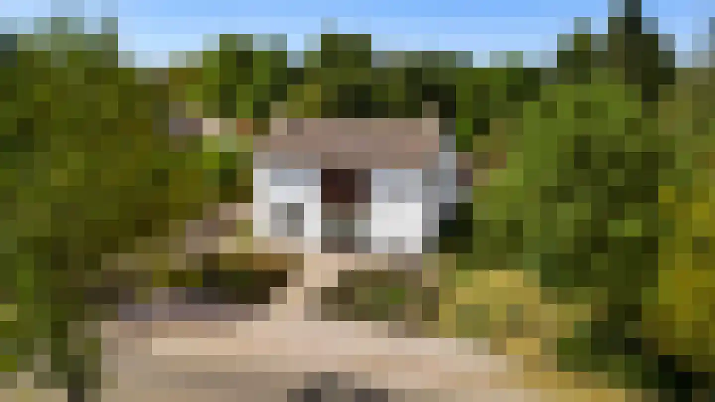 Heuvelsestraat 5 Kronenberg thumbnail 8