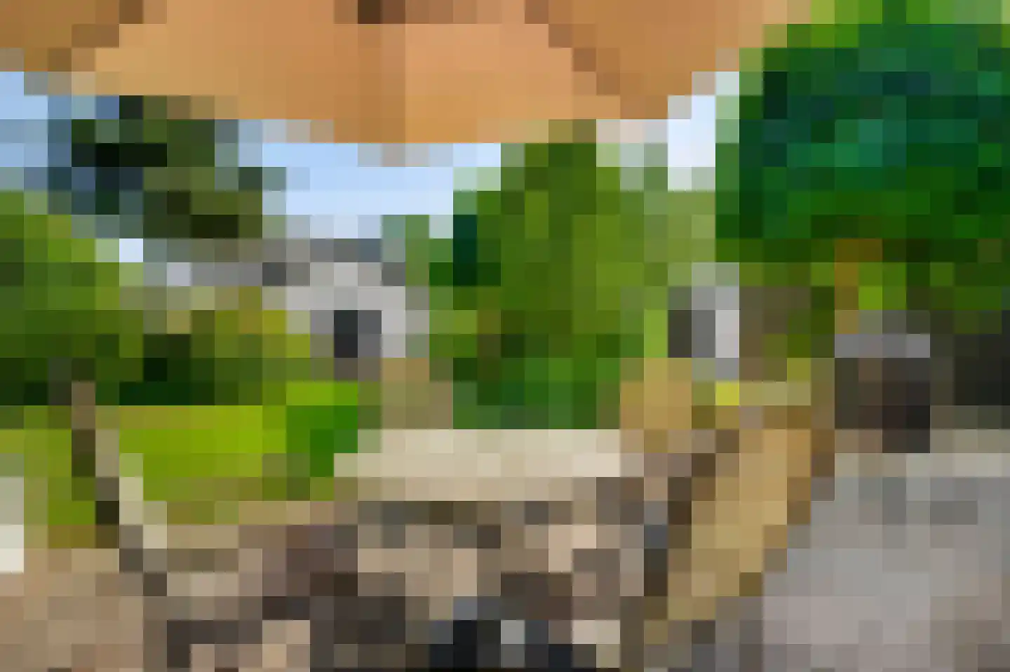 Heuvelsestraat 5 Kronenberg thumbnail 87