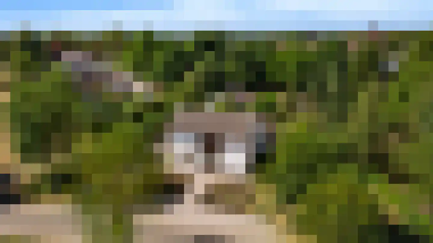 Heuvelsestraat 5 Kronenberg thumbnail 9