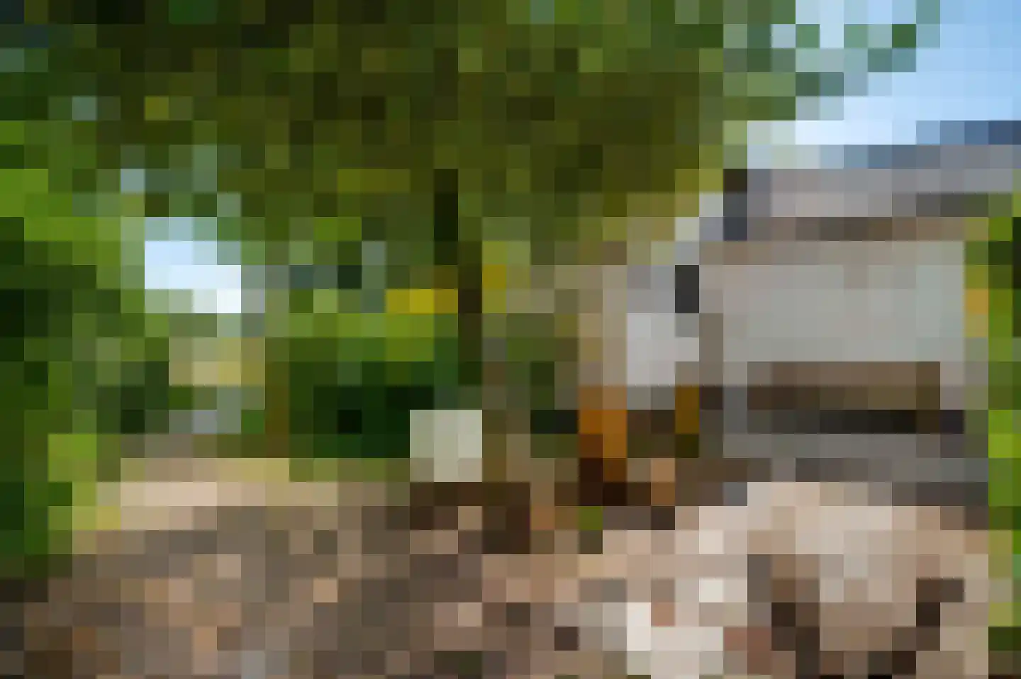 Heuvelsestraat 5 Kronenberg thumbnail 91