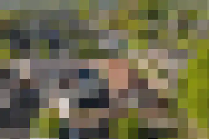 Heuvelseweg 1 B Hoogeloon thumbnail 22