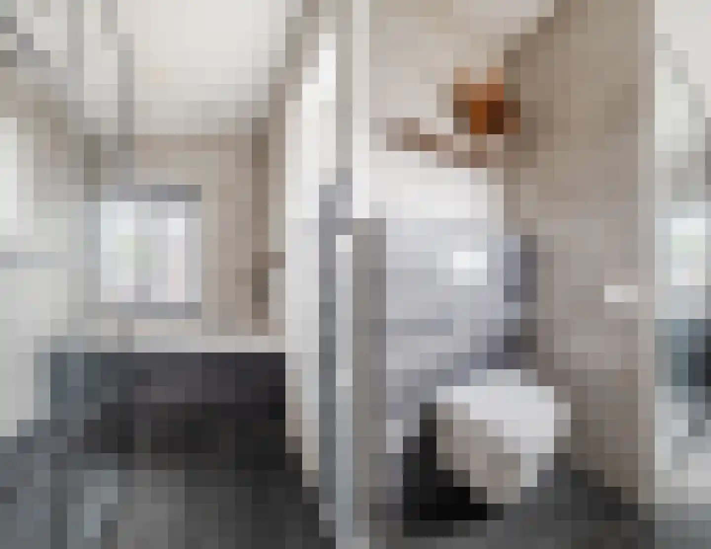 Heuvelseweg 7 Hoogeloon thumbnail 34