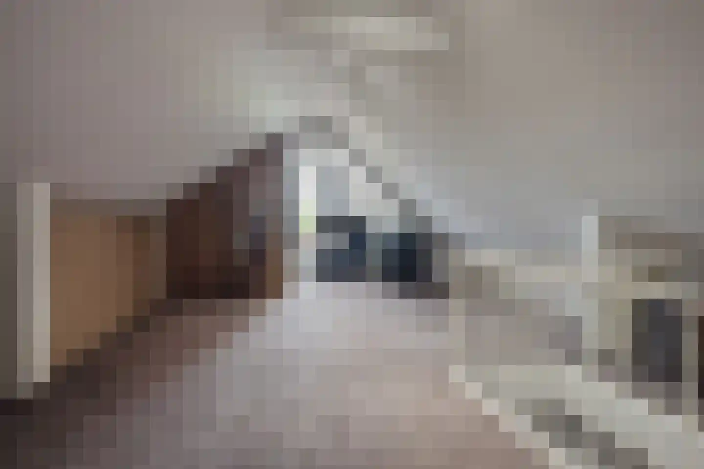 Heuvelseweg 7 Hoogeloon thumbnail 35