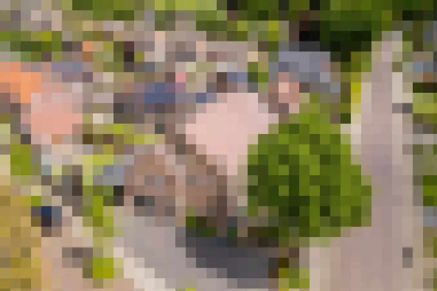 Heuvelseweg 7 Hoogeloon thumbnail 49