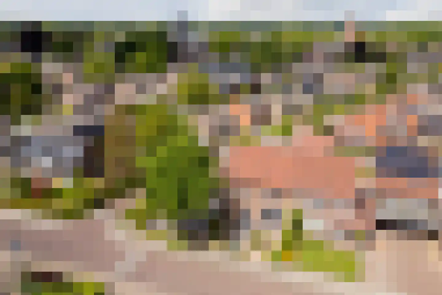 Heuvelseweg 7 Hoogeloon thumbnail 50