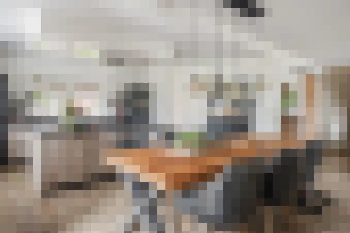 Heuvelseweg 7 Hoogeloon thumbnail 8