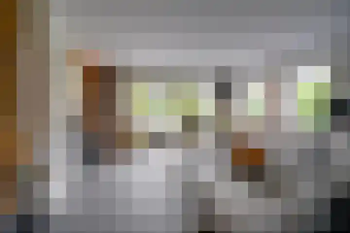 Heuvelskamp 12 Scherpenzeel thumbnail 13