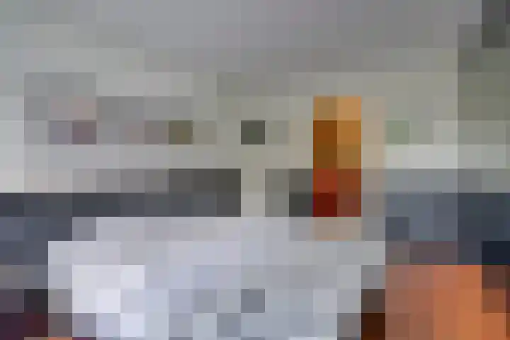 Heuvelskamp 12 Scherpenzeel thumbnail 20