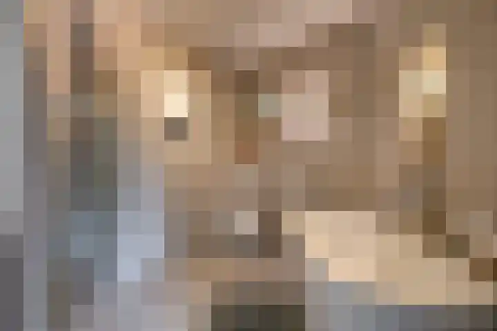 Heuvelskamp 12 Scherpenzeel thumbnail 23