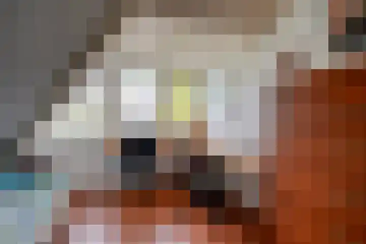 Heuvelskamp 12 Scherpenzeel thumbnail 28