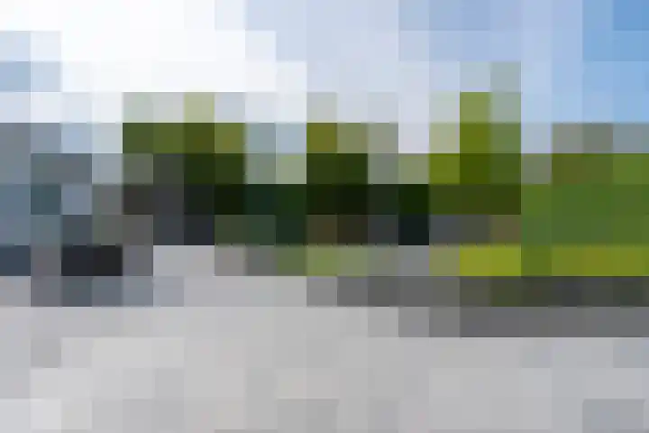 Heuvelskamp 12 Scherpenzeel thumbnail 32