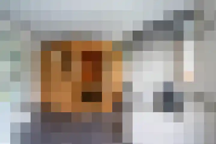 Heuvelskamp 12 Scherpenzeel thumbnail 35