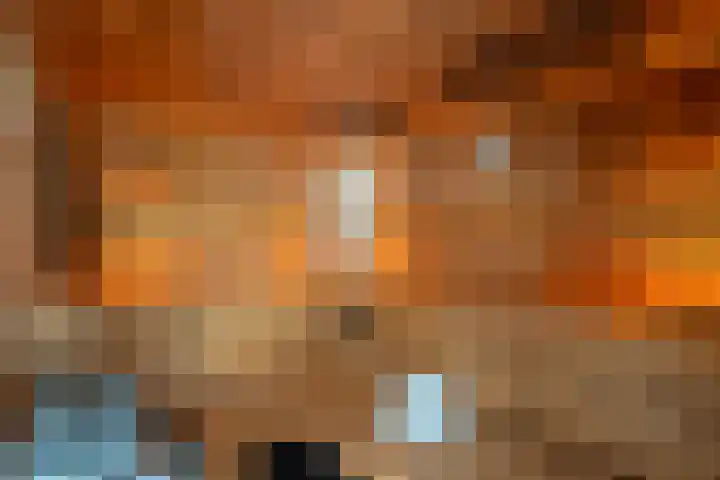Heuvelskamp 12 Scherpenzeel thumbnail 36