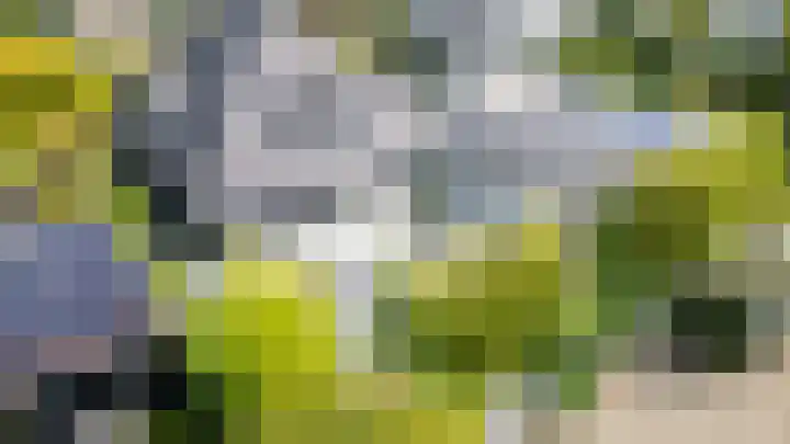 Heuvelskamp 12 Scherpenzeel thumbnail 4